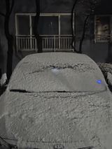 팜모닝 양파·자유게시판 게시글 이미지