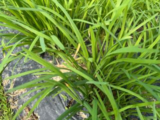 광주바이오님의 자유주제 · 자유게시판 작성글 사진