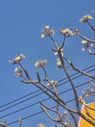 최동수님의 자유주제 · 자유게시판 작성글 사진