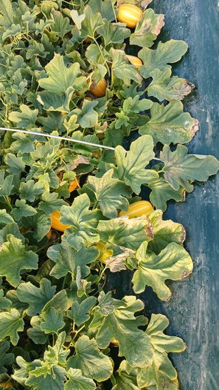 이세영님의 자유주제 · 자유게시판 작성글 사진