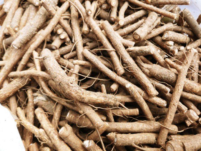 장터 상품 [여름두릅,이형두릅 종근] 썸네일