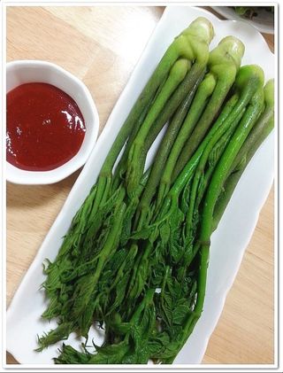 정선 숲속의농부님의 작성글 사진