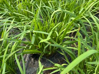 광주바이오님의 자유주제 · 자유게시판 작성글 사진