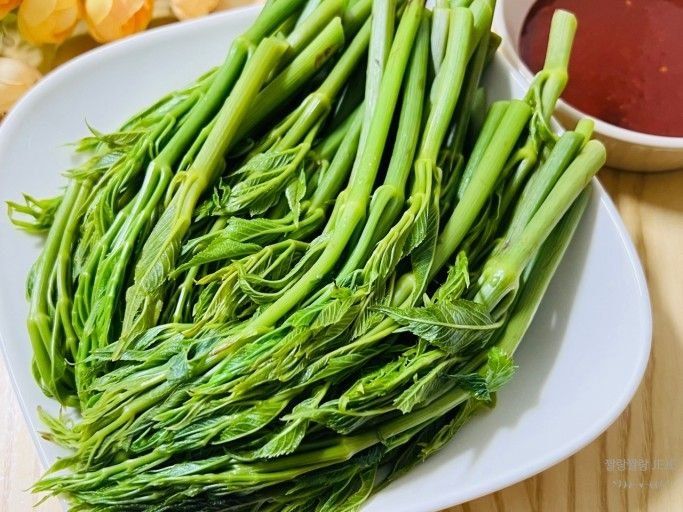 정선 숲속의농부님의 장터 판매 상품 [여름두릅,이형두릅 종근] 첨부 사진