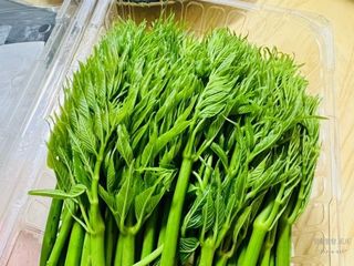 정선 숲속의농부님의 작성글 사진