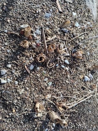 김종덕님의 자유주제 · 자유게시판 작성글 사진