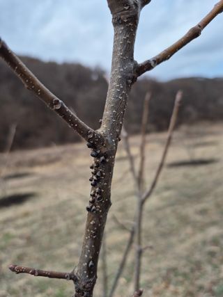 감6731님의 자유주제 · 자유게시판 작성글 사진