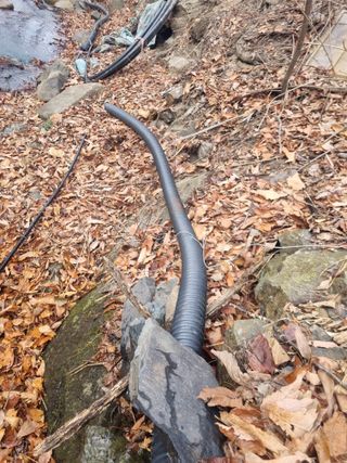 김용대님의 자유주제 · 자유게시판 작성글 사진