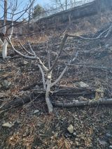 김용대님의 자유주제·자유게시판 작성글 사진