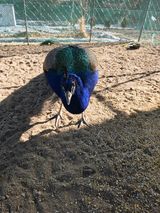 구자태님의 자유주제·자유게시판 작성글 사진