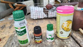 괴동조합장님의 자유주제 · 자유게시판 작성글 사진