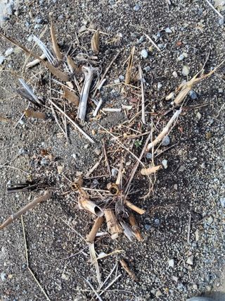 김종덕님의 자유주제 · 자유게시판 작성글 사진