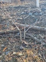 김용대님의 자유주제·자유게시판 작성글 사진