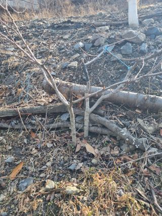 김용대님의 자유주제 · 자유게시판 작성글 사진