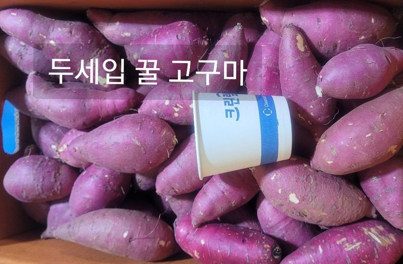 장터 상품 [  두세입 꿀 고구마 판매10kg] 썸네일