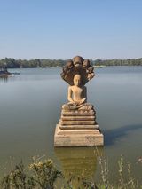 팜모닝 자유주제·자유게시판 게시글 이미지