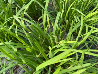 광주바이오님의 자유주제 · 자유게시판 작성글 사진