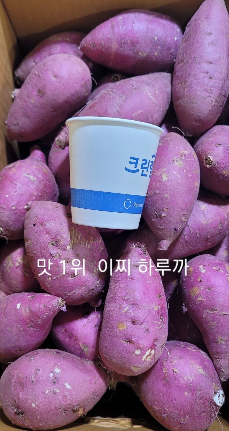 사랑꽃농장님의 장터 판매 상품 [  특) 꿀 이찌 하루까 판매10kg] 첨부 사진