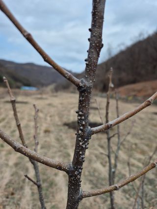 감6731님의 자유주제 · 자유게시판 작성글 사진