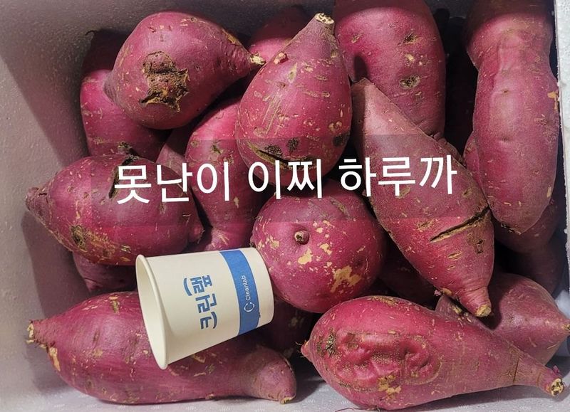 장터 상품 [ 실속형 못난이 이찌 하루까 고구마10kg] 썸네일