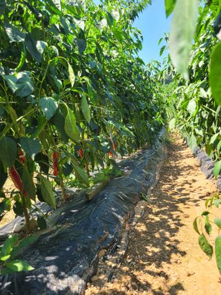 신동익님의 작성글 사진