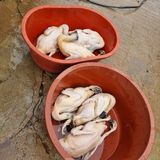 팜모닝 자유주제·자유게시판 게시글 이미지