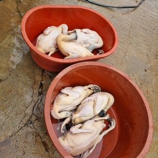 민들레님의 자유주제 · 자유게시판 작성글 사진