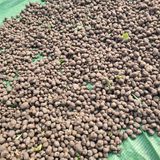 팜모닝 · 게시글 이미지