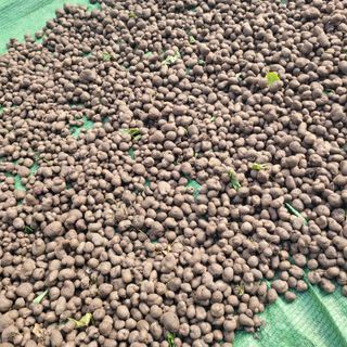 김선순(공룡자색마)님의 작성글 사진