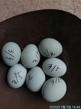 황대헌님의 자유주제·자유게시판 작성글 사진