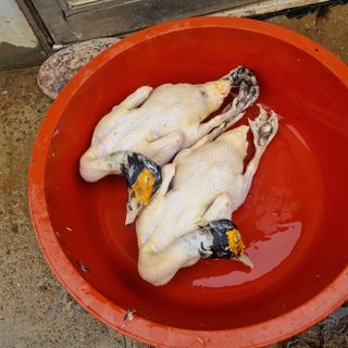 민들레님의 자유주제 · 자유게시판 작성글 사진