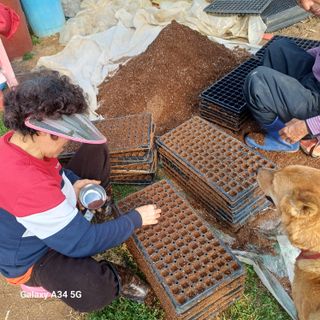 삼성농산님의 자유주제 · 자유게시판 작성글 사진