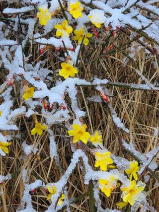 최귀동님의 자유주제·자유게시판 작성글 사진