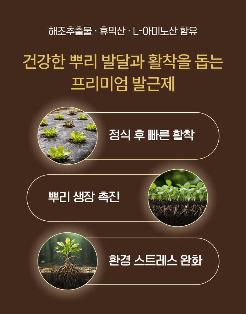 농업마켓365님의 장터 판매 상품 [루트맥스 2L 뿌리발근제 해조추출물 아미노산 활착제 뿌리활력 식물영양제] 첨부 사진