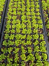 팜모닝 자유주제·자유게시판 게시글 이미지