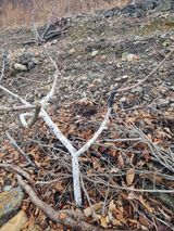 팜모닝 자유주제·자유게시판 게시글 이미지