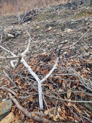 김용대님의 자유주제 · 자유게시판 작성글 사진