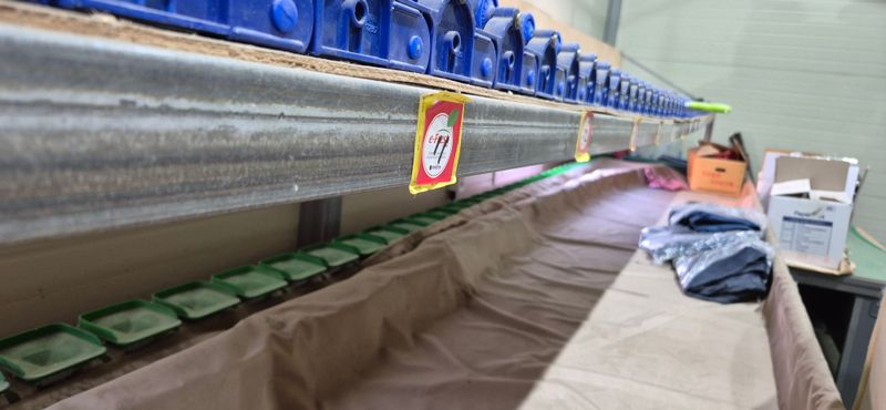 감자님의 장터 판매 상품 [과일선별기] 첨부 사진