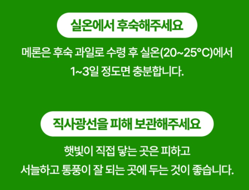 스피드번님의 장터 판매 상품 [고령 파파야메론] 첨부 사진
