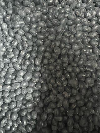 강원도김지원님의 자유주제 · 자유게시판 작성글 사진