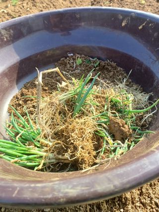 바람소리님의 자유주제 · 자유게시판 작성글 사진