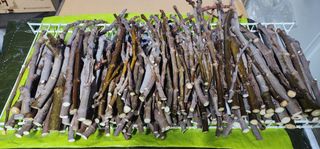 고동옥님의 자유주제 · 자유게시판 작성글 사진