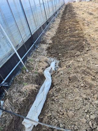 허굴산농장님의 자유주제 · 자유게시판 작성글 사진