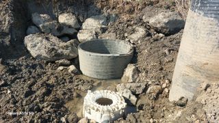 김한이님의 자유주제 · 자유게시판 작성글 사진