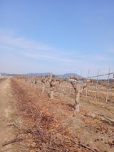 팜모닝 자유주제·자유게시판 게시글 이미지