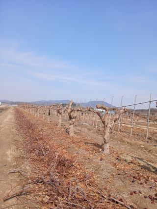 팜모닝회원이성구님의 자유주제 · 자유게시판 작성글 사진