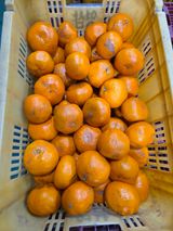 팜모닝 · 게시글 이미지