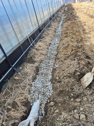 허굴산농장님의 자유주제 · 자유게시판 작성글 사진