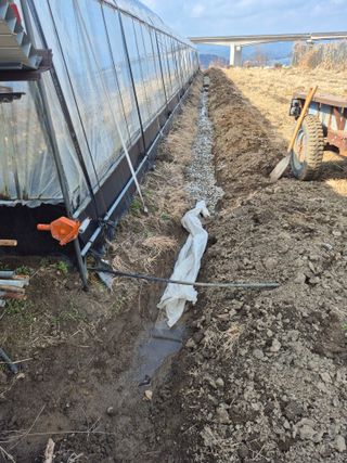 허굴산농장님의 자유주제 · 자유게시판 작성글 사진