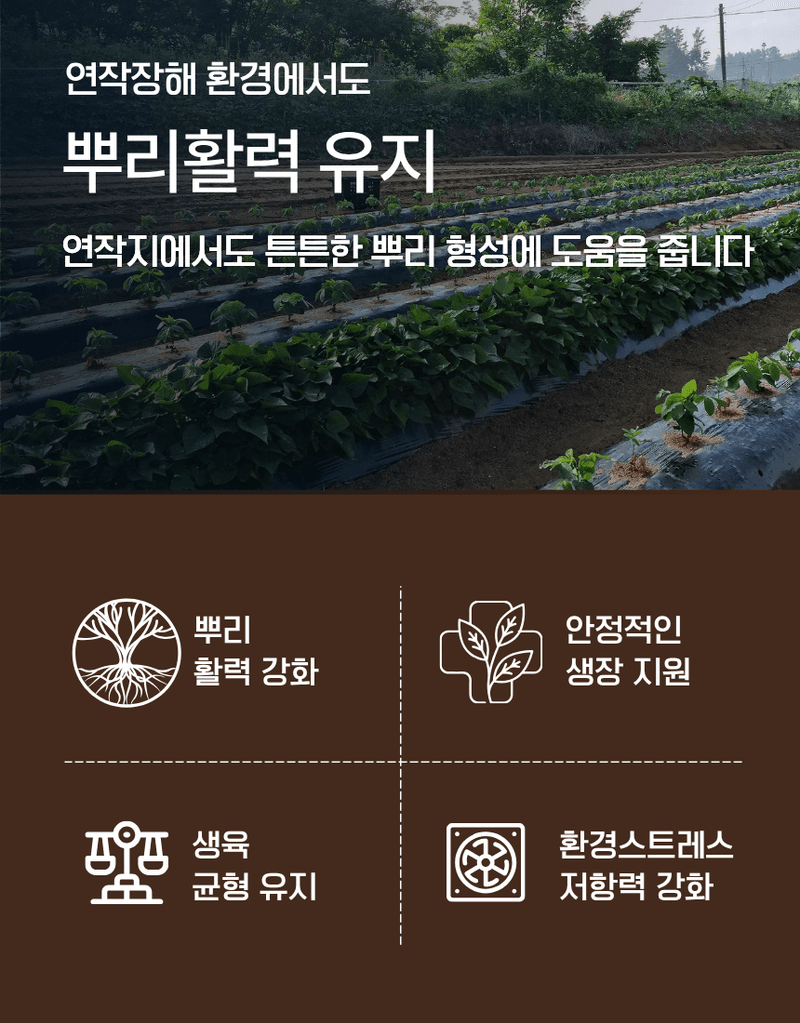 농업마켓365님의 장터 판매 상품 [루트맥스 2L 뿌리발근제 해조추출물 아미노산 활착제 뿌리활력 식물영양제] 첨부 사진